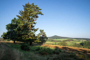 Eifel landscape, Rhineland-Palatinate, Germany