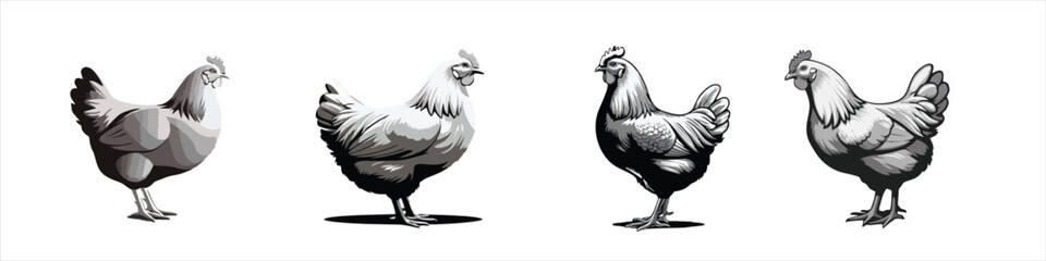 set of chicken vector illustration logo design 