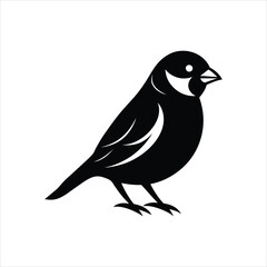 Sparrow silhouette black vector on white background