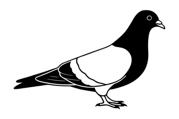 silhouette vector,Pigeons are symbolic of fertility and prosperity