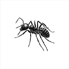 ant vector illustration logo concept design