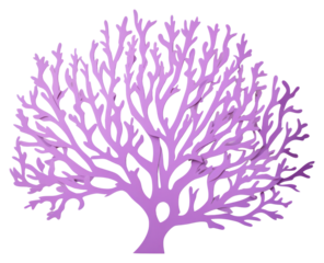 PNG Purple coral art white background microbiology.
