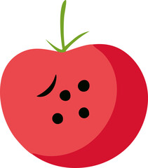 red tomato with leaf