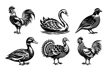 Naklejka premium fowl bird silhouette bundle set in vector style clip art with white background