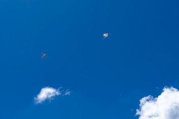kites flying in the blue sky next to the clouds