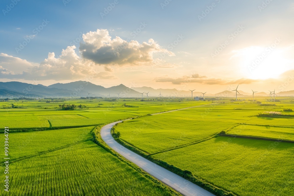 Poster the view of a large wind farm or wind park with high wind turbines for generating electricity and co