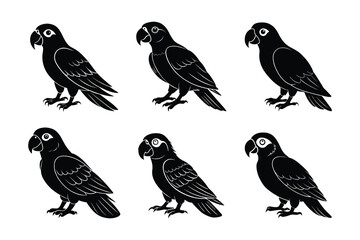 Fototapeta premium Vector clip art style Parrot silhouette bundle set with white background