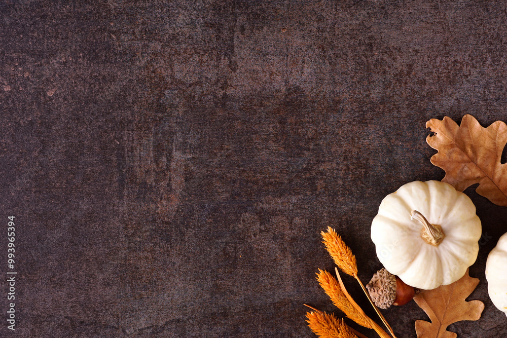 Poster fall corner border of white pumpkins with muted orange and brown autumn decor. top view on a rustic 