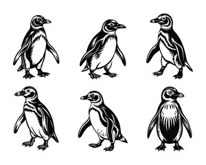 Naklejka premium Penguin silhouette design in vector style with a white background