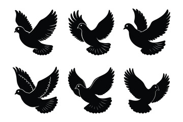 Fototapeta premium Pigeon silhouette design bundle set in creative vector clip art with a white background