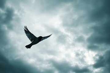 Fototapeta premium Bird Flying in Cloudy Sky - Freedom and Hope Concept.
