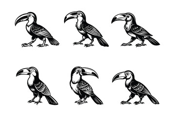 Obraz premium Toucan silhouette bundle set in vector style clip art with white background