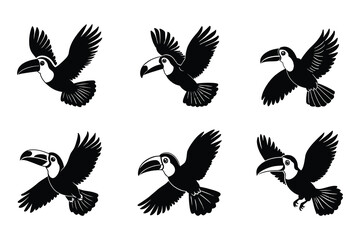 Obraz premium Toucan silhouette bundle set in vector style clip art with white background