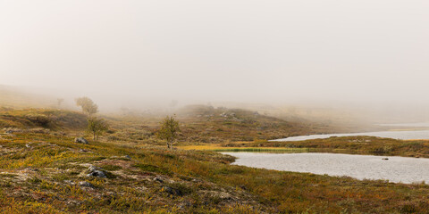Misty autumn morning in wilderness lake in Lapland