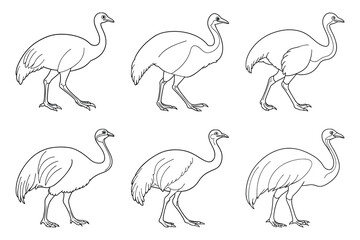 Fototapeta premium Cassowary silhouette design bundle set in creative vector clip art with a white background