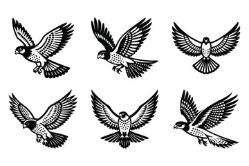 Obraz premium Vector clip art style falcon flying silhouette bundle set with white background