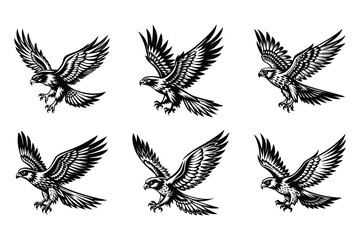 Obraz premium Vector clip art style falcon flying silhouette bundle set with white background
