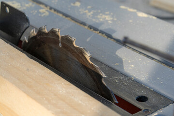 A detailed close-up of a circular saw blade in a woodworking workshop. The image captures the sharp teeth of the saw blade, with fine sawdust visible on the surface