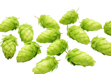 Fototapeta premium PNG Hop cones fruit green plant.