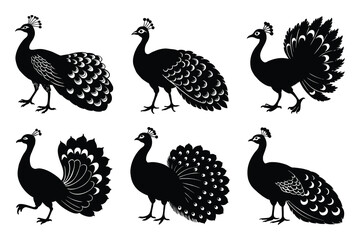 Fototapeta premium Peafowl silhouette design bundle set in creative vector clip art with a white background