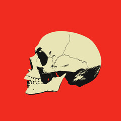 Stylized skull in profile against a bold red background, high contrast design
