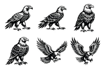 Obraz premium Eagle silhouette design in vector style with a white background