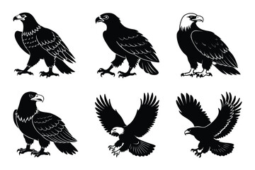 Fototapeta premium Eagle silhouette design in vector style with a white background