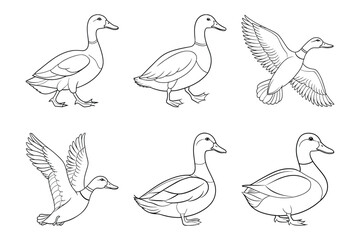 Obraz premium Mallard silhouette design in vector style with a white background