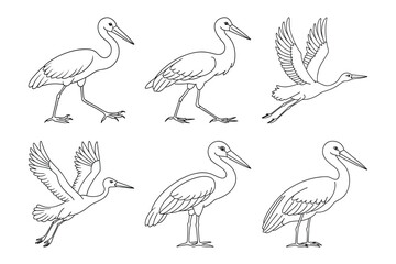 Obraz premium Stork silhouette bundle set in vector style clip art with white background
