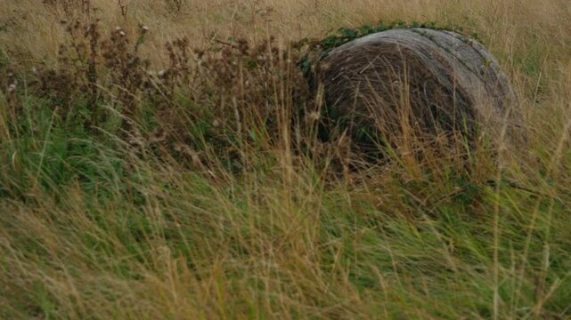 Farmland with bales of hay