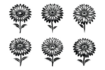 Vector clip art style gerbera silhouette bundle set with white background