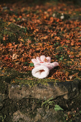 [KYOTO]A world-famous temple in Kyoto that is famous for its autumn foliage, Fallen leaves and colorful gloves on the ground, Bishamondo-Monzeki, Japan