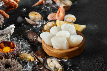Fresh Assorted Seafood Platter Crab, Oysters, Sea Urchins - Vibrant Colors, Artistic Composition