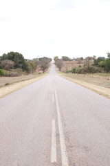 tarred asphalt road with trees alongside