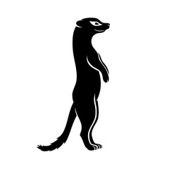 Animal icon meerkat standing on white background.