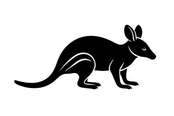 Bilby vector icon on white background