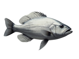 white fish background transfarancy
