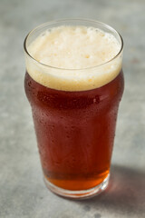 Boozy Refreshing Cold Pumpkin Craft Beer Ale