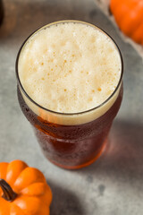 Boozy Refreshing Cold Pumpkin Craft Beer Ale