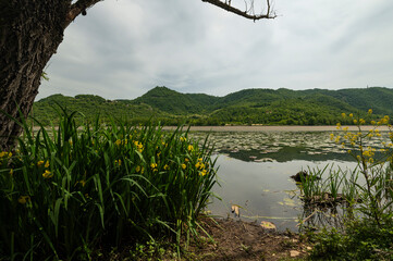 Obraz premium Lago di Fimon, Vicenza, Veneto, Italy. The lake is a beutiful place to walk and to take a rest with the family.