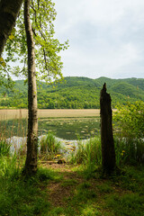 Lago di Fimon, Vicenza, Veneto, Italy. The lake is a beutiful place to walk and to take a rest with...