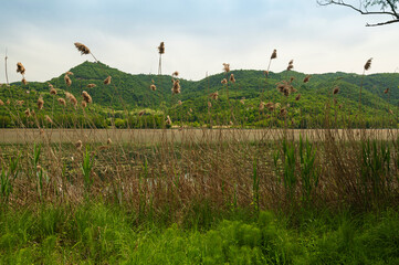 Lago di Fimon, Vicenza, Veneto, Italy. The lake is a beutiful place to walk and to take a rest with the family.