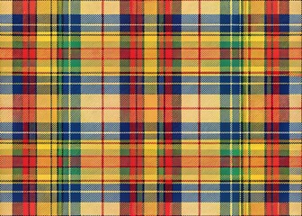 Vibrant plaid design features a bold, colorful fabric pattern with intersecting bands of red, blue, yellow, and green tartan stripes on a neutral background.