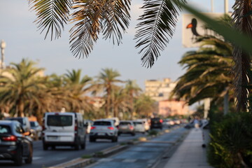Autos im Schatten von Palmen