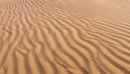 Fototapeta premium 모래의 패턴과 질감