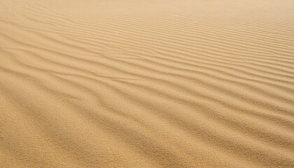 Fototapeta premium 모래의 패턴과 질감