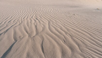 Fototapeta premium 모래의 패턴과 질감