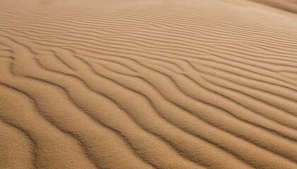 Fototapeta premium 모래의 패턴과 질감