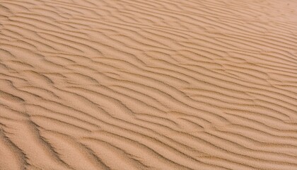 모래의 패턴과 질감