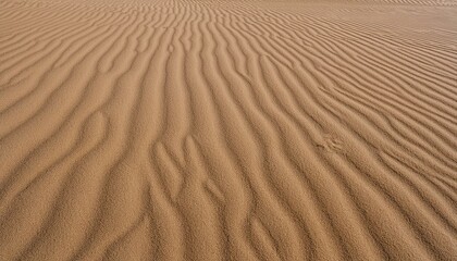 Fototapeta premium 모래의 패턴과 질감